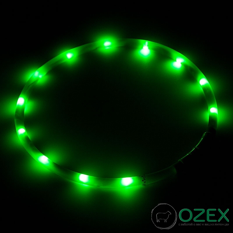 Ошейник прогулочный светодиодный Monella MNF19 (зелёный)